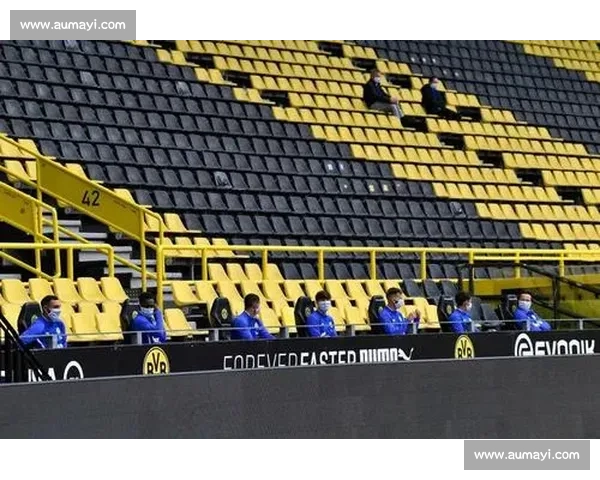 疫情下的德甲联赛,挑战与机遇并存! 疫情下的德甲联赛,挑战与机遇并存!