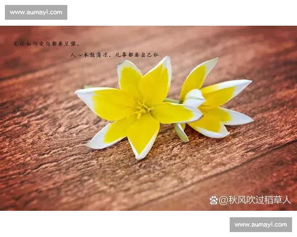 退役是终点，也是起点，Curse的抉择，预示着新的篇章